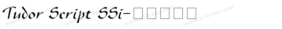 Tudor Script SSi字体转换